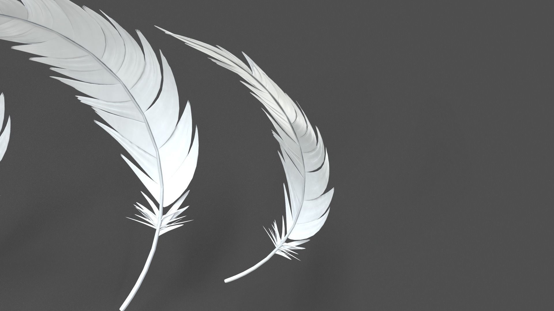 Feathers Set - 7 Assets 3D model_4