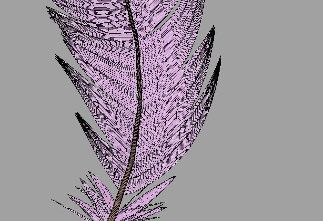 Feathers Set - 7 Assets 3D model_16