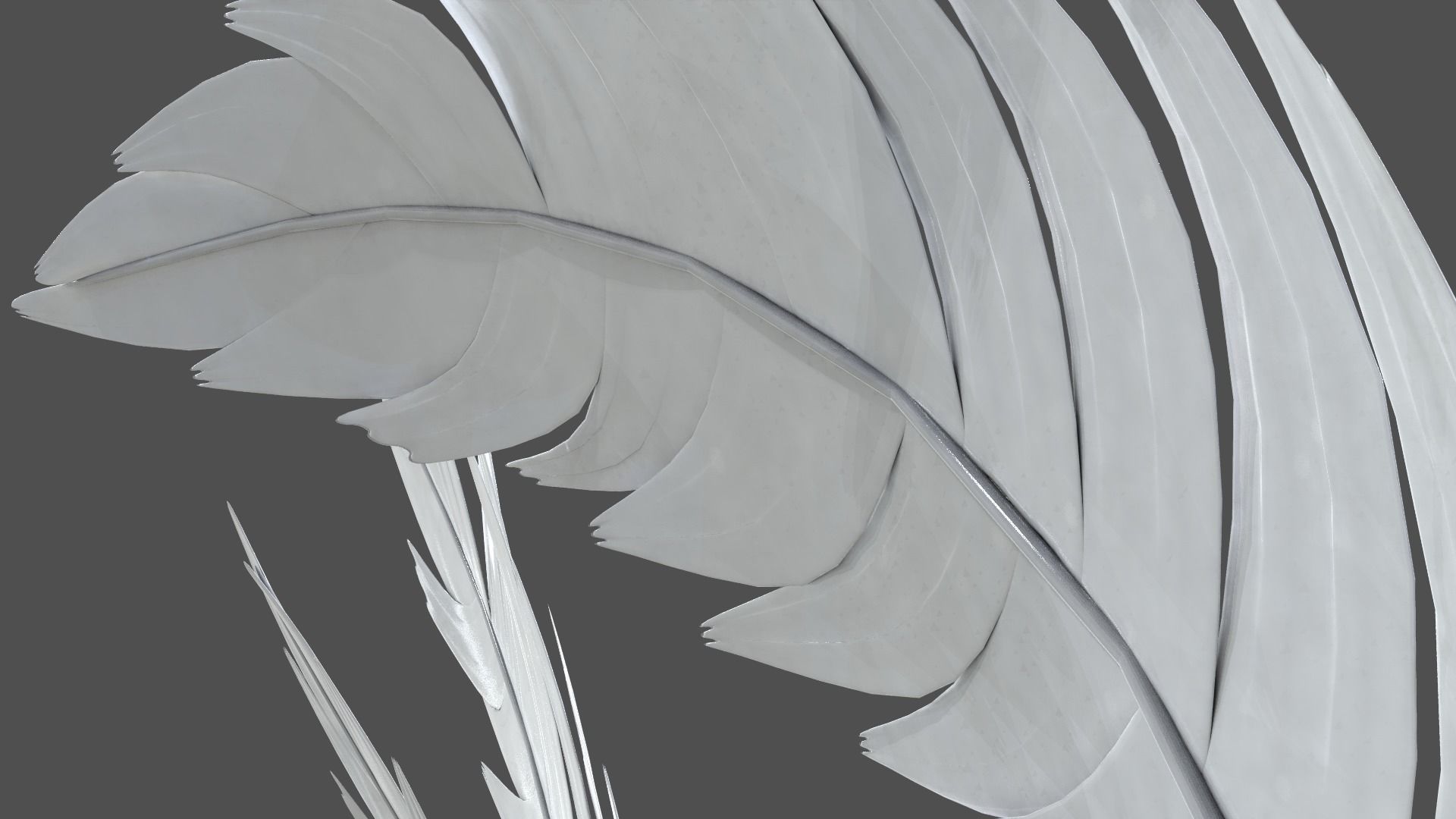 Feathers Set - 7 Assets 3D model_6