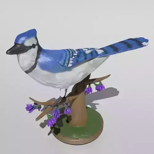 Blue Jay 3D print model