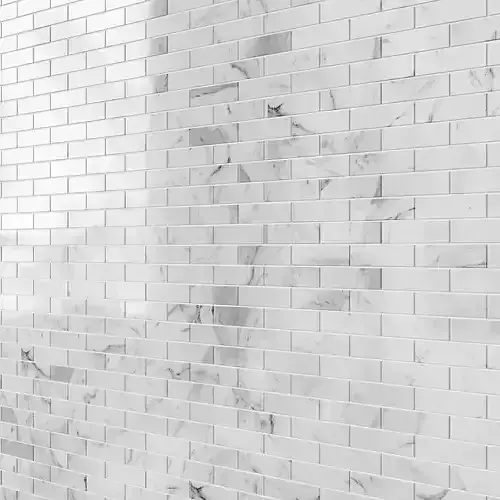 Carrara 1  2x2 Marble Tile