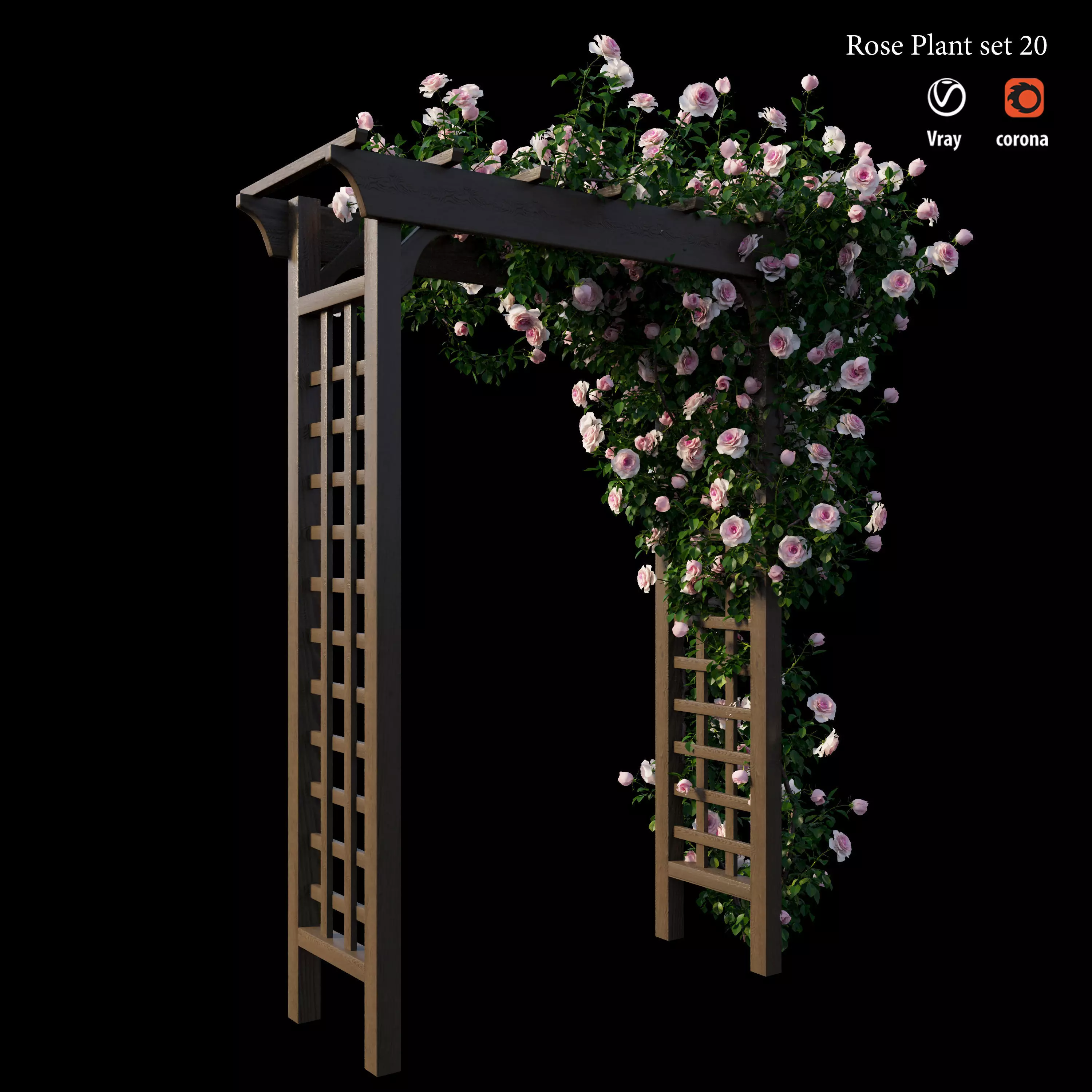 Rose plant set 20 3D model