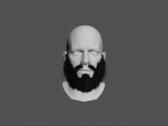Beard 3D Model man with 3D model_1