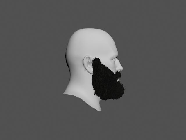 Beard 3D Model man with 3D model_2