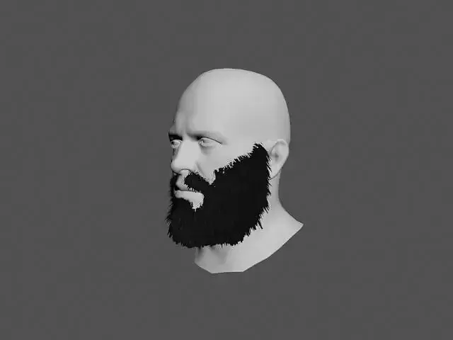 Beard 3D Model man with