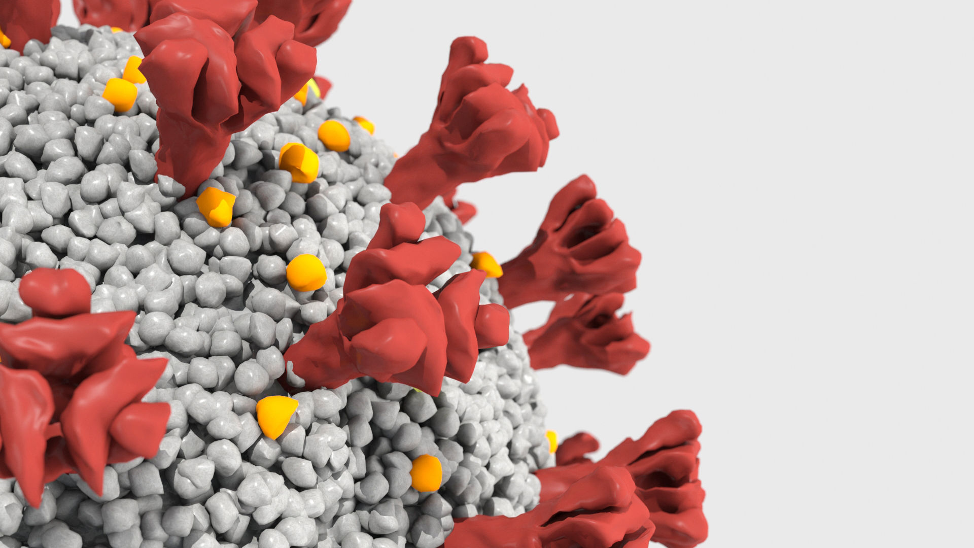 corona virus covid 19 collection _7