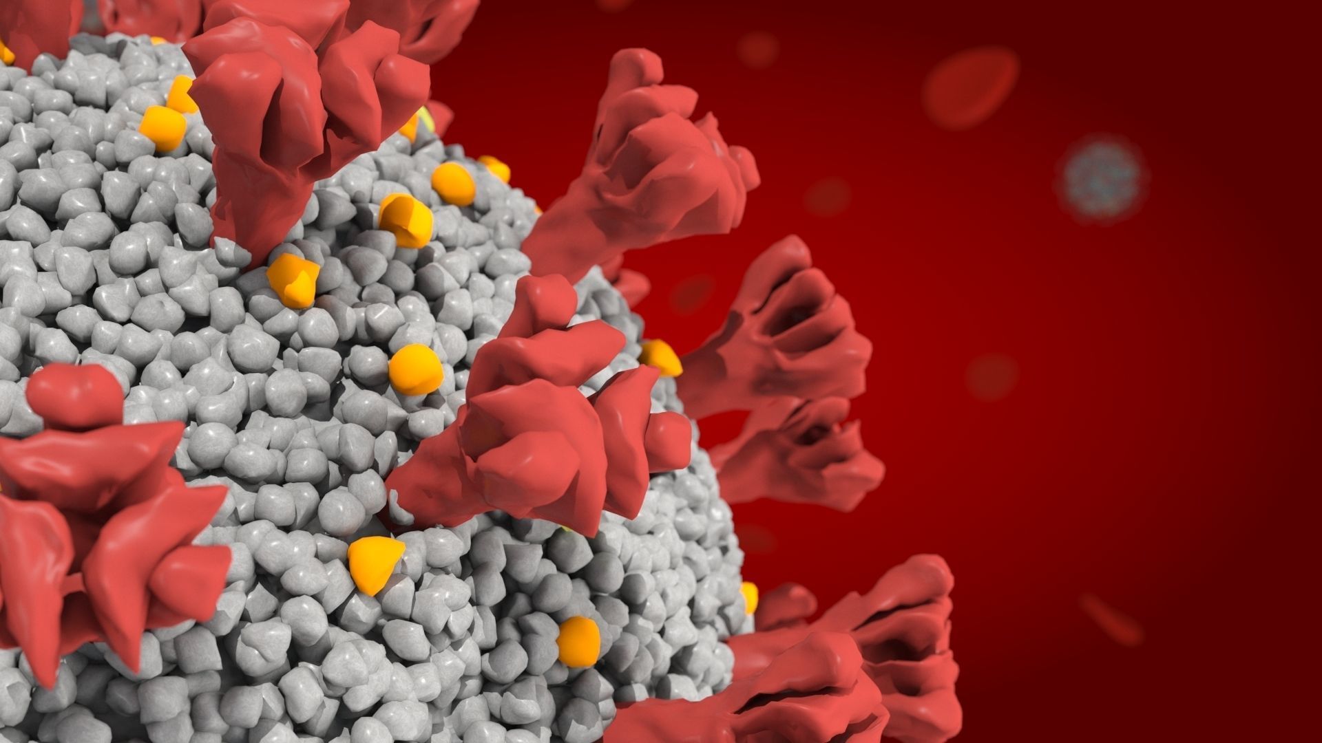 corona virus covid 19 collection _6