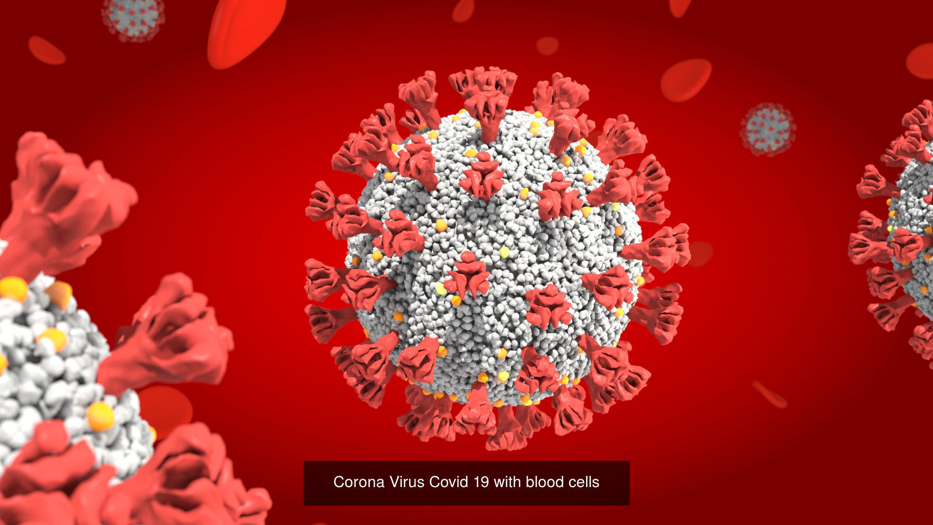 corona virus covid 19 collection _1