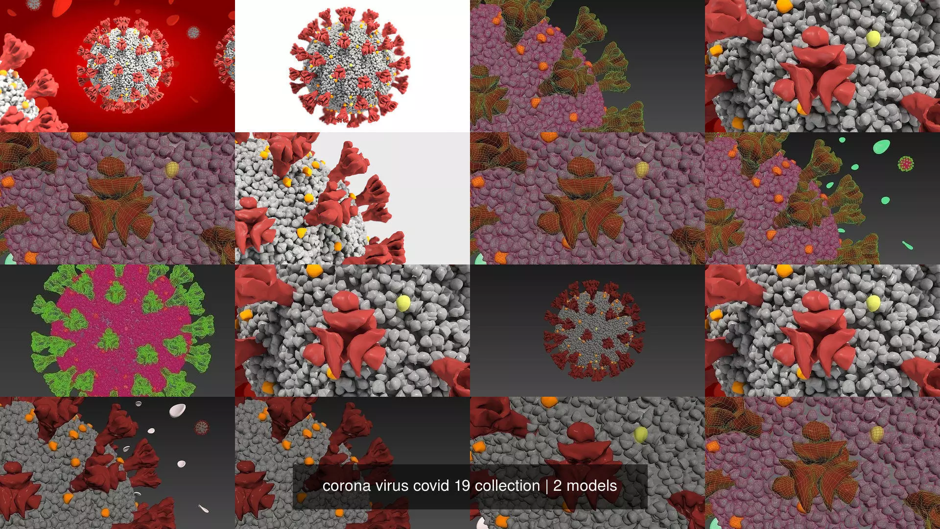 corona virus covid 19 collection _0