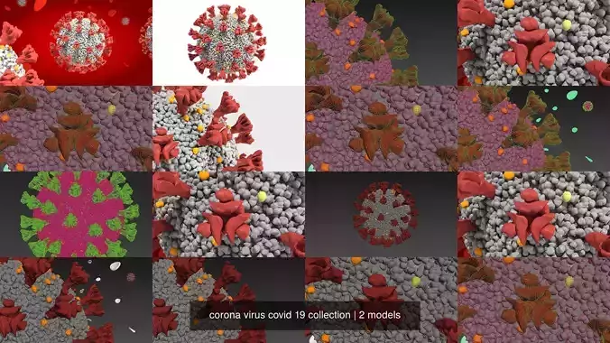 corona virus covid 19 collection 