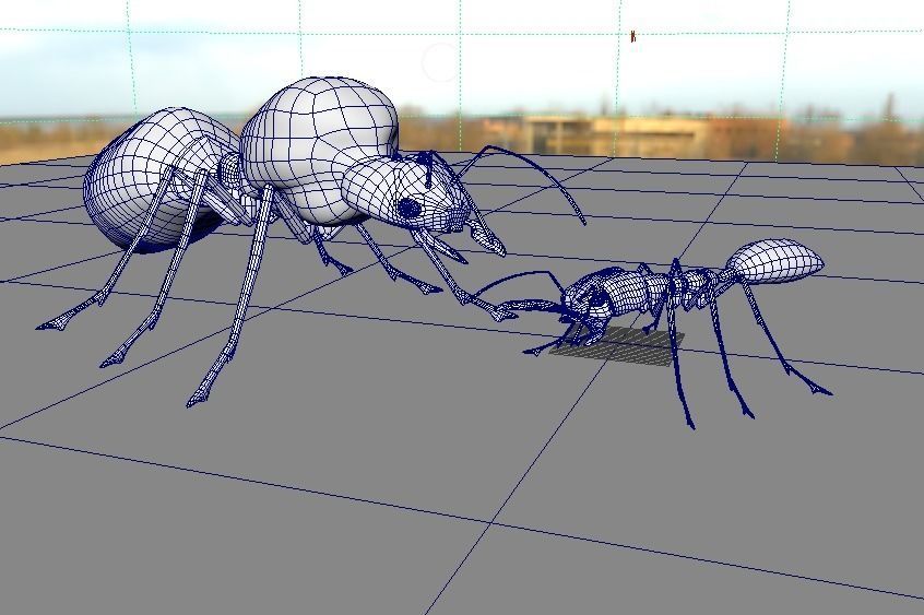 Odontomachus ant and Atta ant 3D model_4