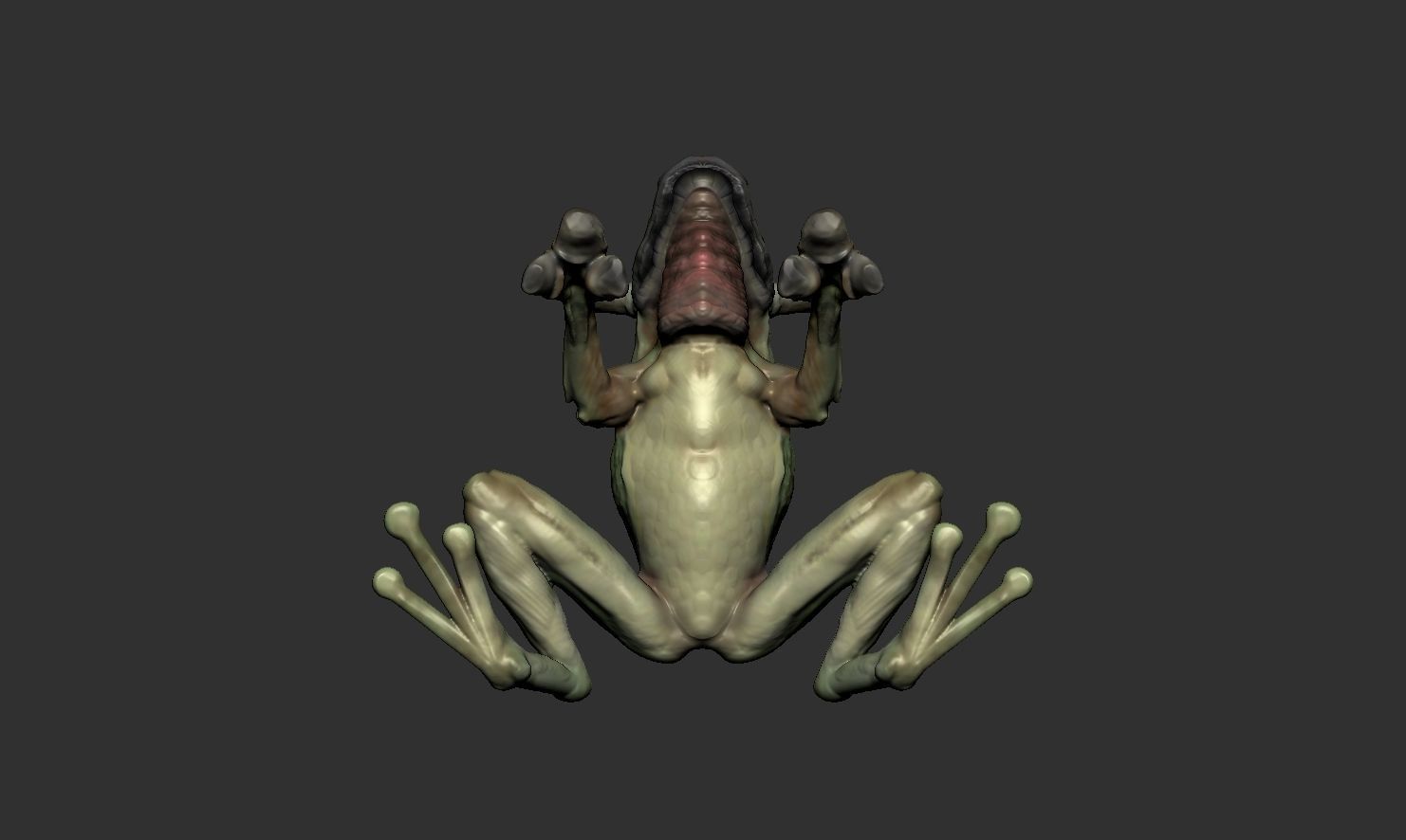 Bullfrog creature with horns Low-poly 3D model_6