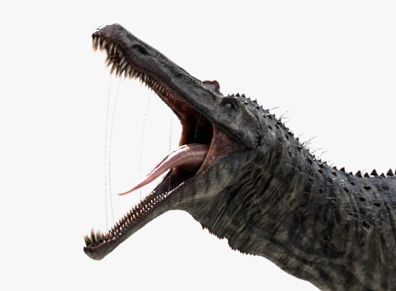 Suchomimus tenerensis