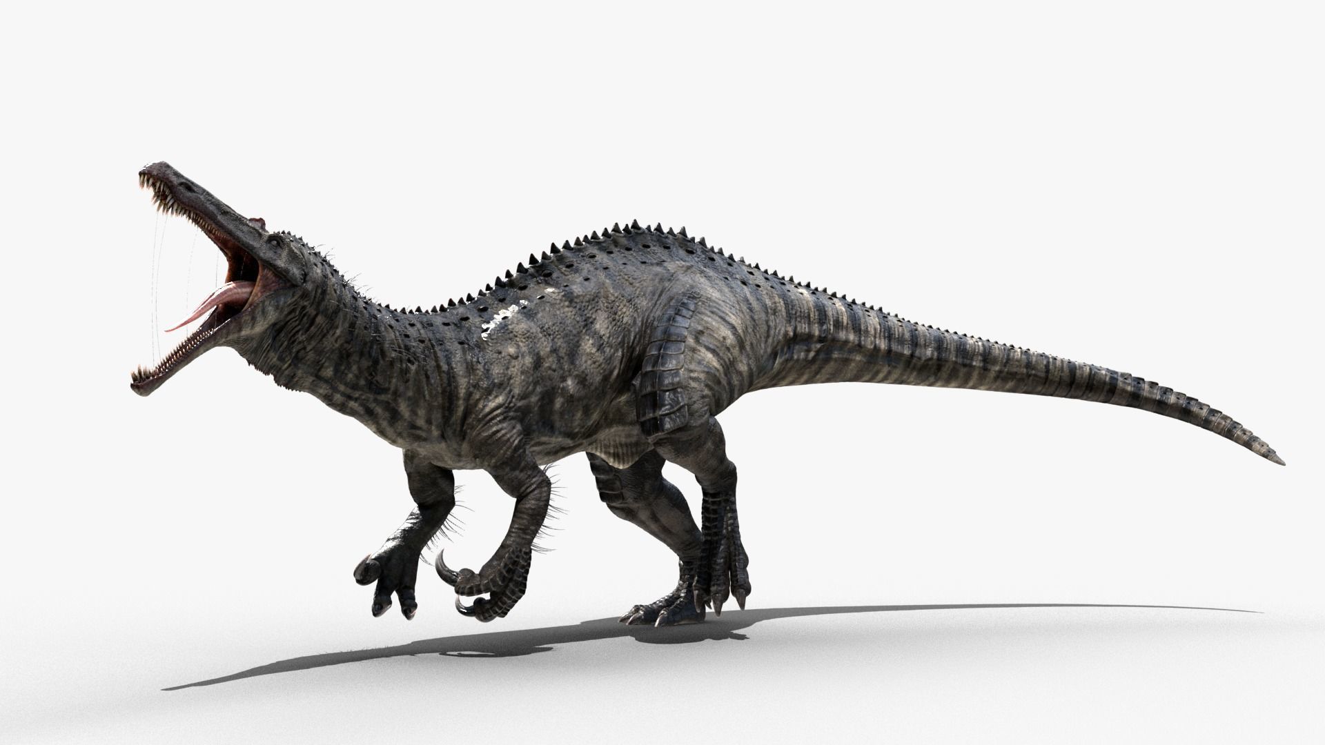 Suchomimus tenerensis Low-poly 3D model_3