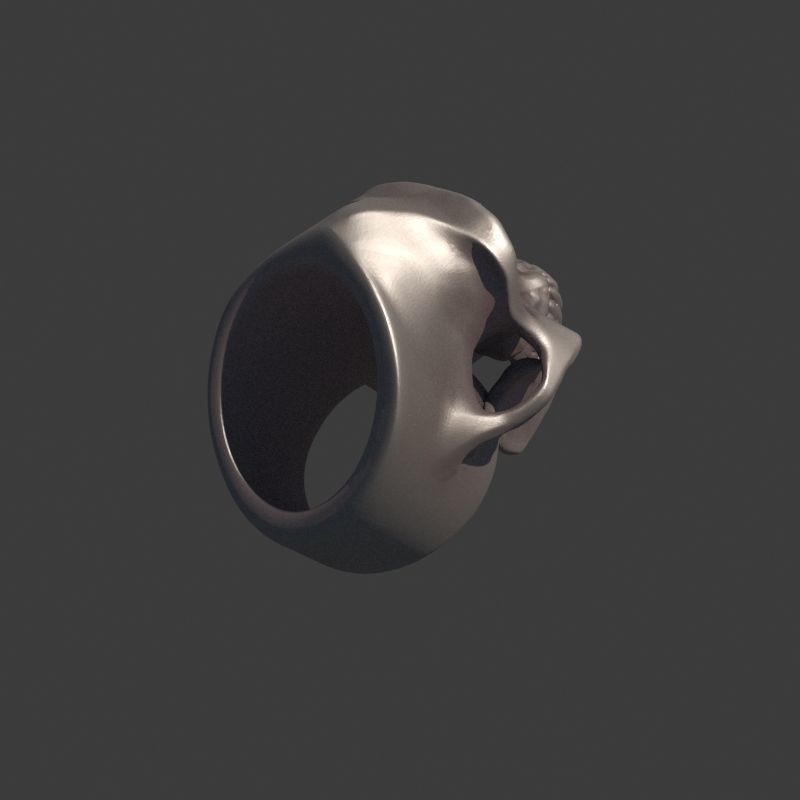 3 Rings Neanderthal Australopithecus and Human 3D Model Collection_18