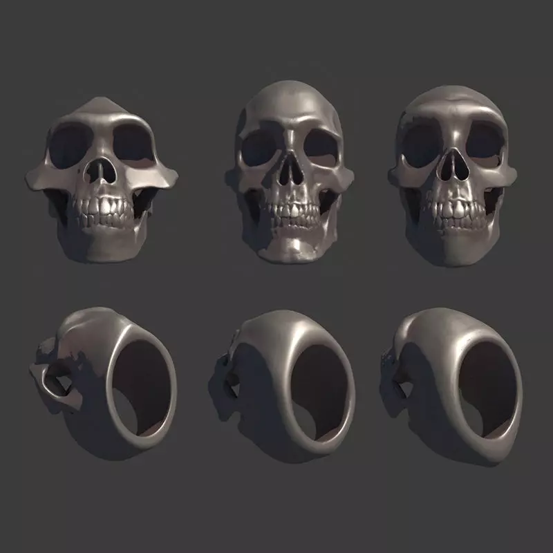 3 Rings Neanderthal Australopithecus and Human 3D Model Collection_0