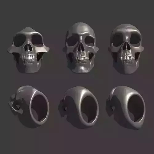 3 Rings Neanderthal Australopithecus and Human 3D Model Collection