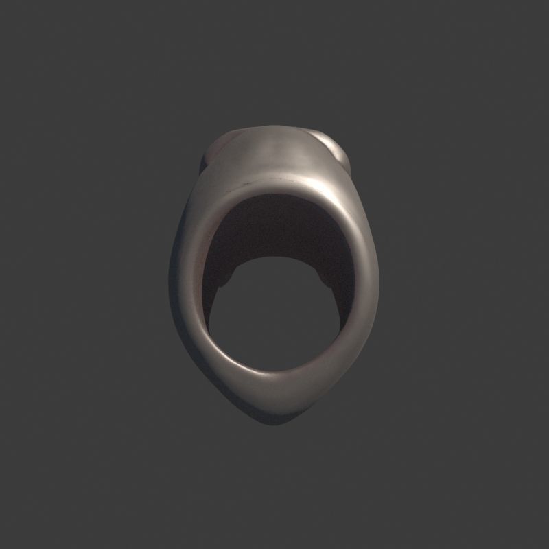 3 Rings Neanderthal Australopithecus and Human 3D Model Collection_29