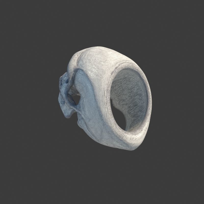 3 Rings Neanderthal Australopithecus and Human 3D Model Collection_34
