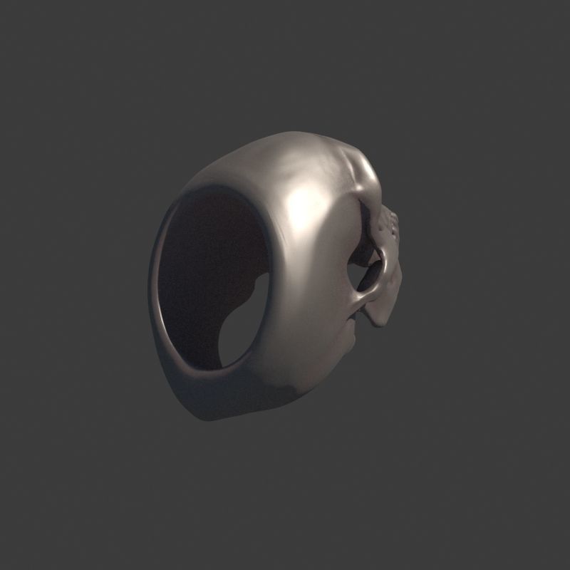 3 Rings Neanderthal Australopithecus and Human 3D Model Collection_30