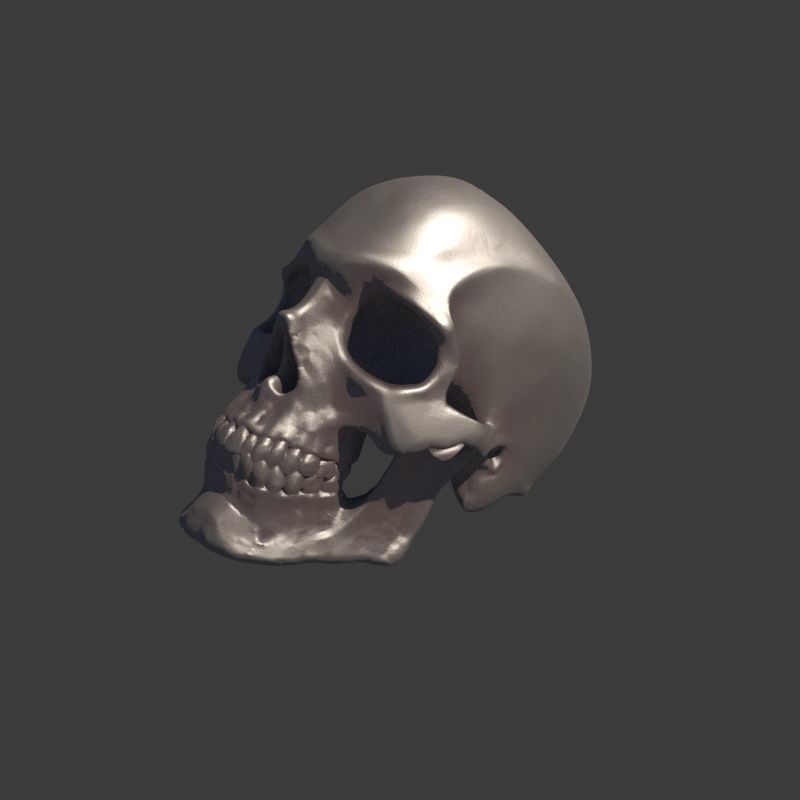 3 Rings Neanderthal Australopithecus and Human 3D Model Collection_2