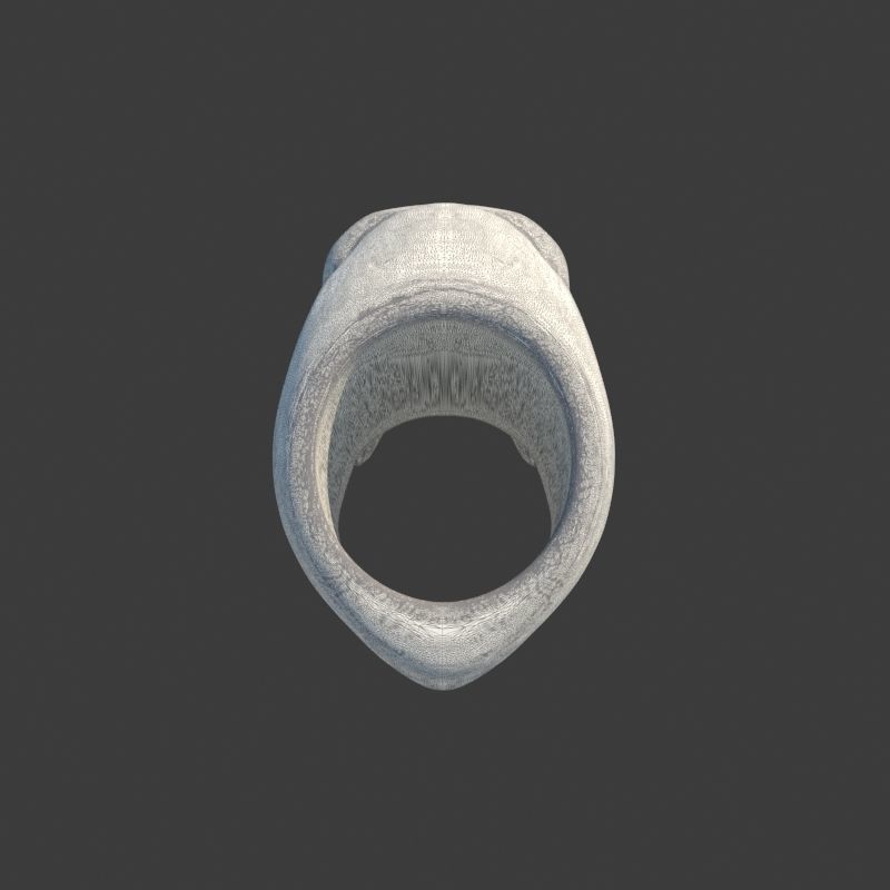 3 Rings Neanderthal Australopithecus and Human 3D Model Collection_35