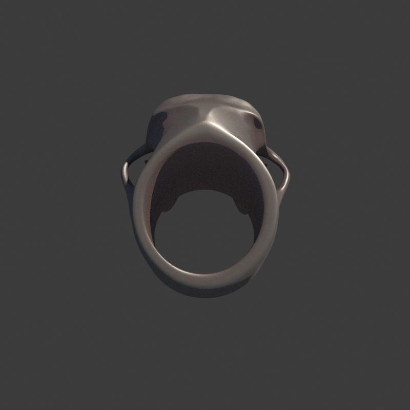3 Rings Neanderthal Australopithecus and Human 3D Model Collection_17