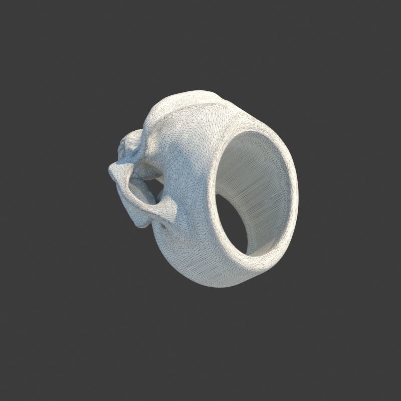 3 Rings Neanderthal Australopithecus and Human 3D Model Collection_21