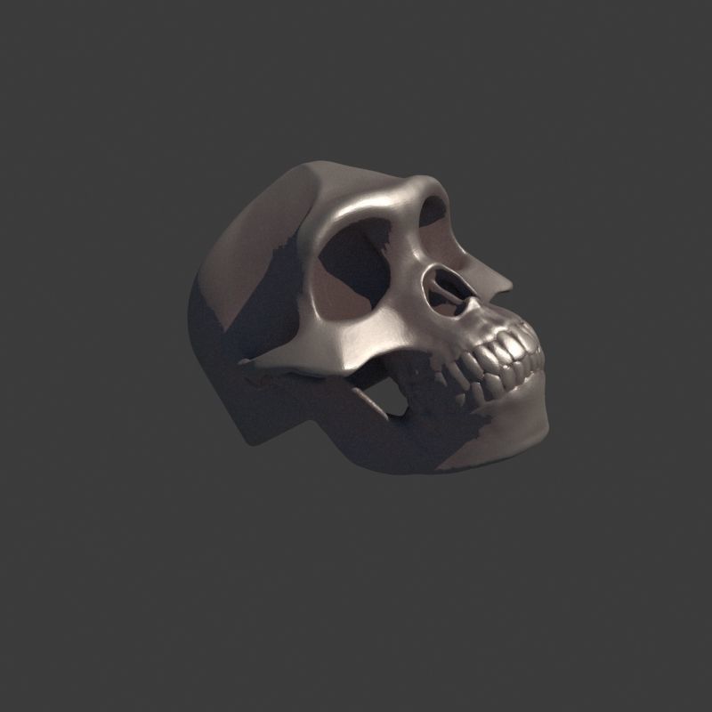 3 Rings Neanderthal Australopithecus and Human 3D Model Collection_14