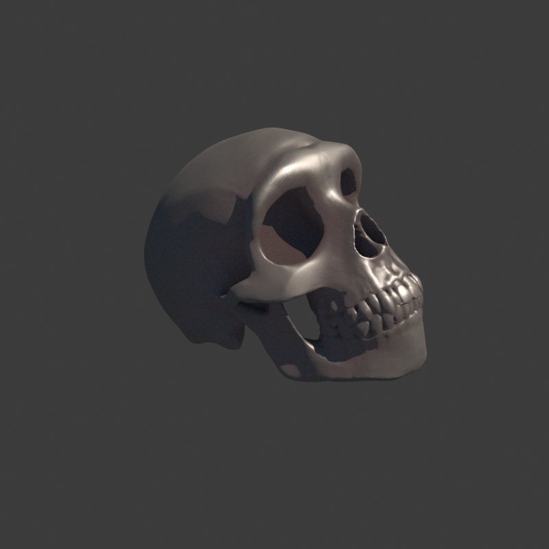 3 Rings Neanderthal Australopithecus and Human 3D Model Collection_27