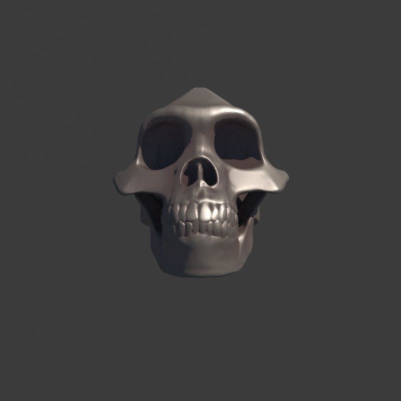 3 Rings Neanderthal Australopithecus and Human 3D Model Collection_13