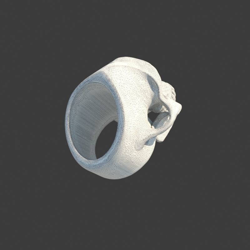 3 Rings Neanderthal Australopithecus and Human 3D Model Collection_23