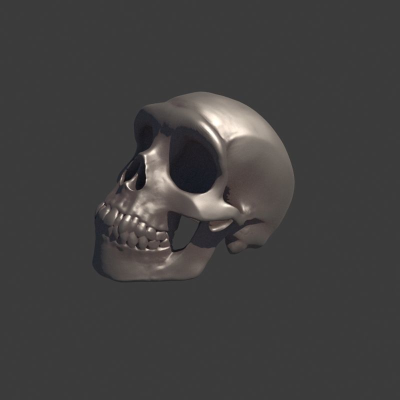 3 Rings Neanderthal Australopithecus and Human 3D Model Collection_26