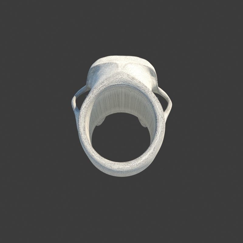 3 Rings Neanderthal Australopithecus and Human 3D Model Collection_22