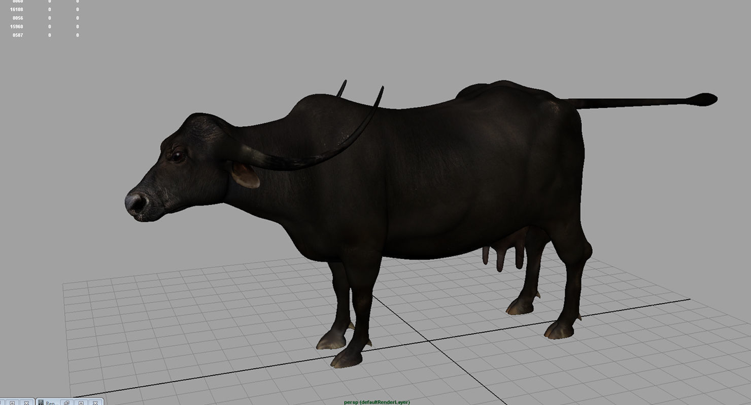 buffalo cow 3d model 3D model_8