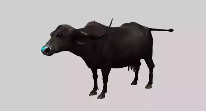 buffalo cow 3d model
