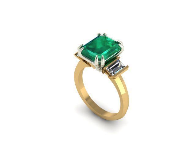 Ring 55 3D print model_2