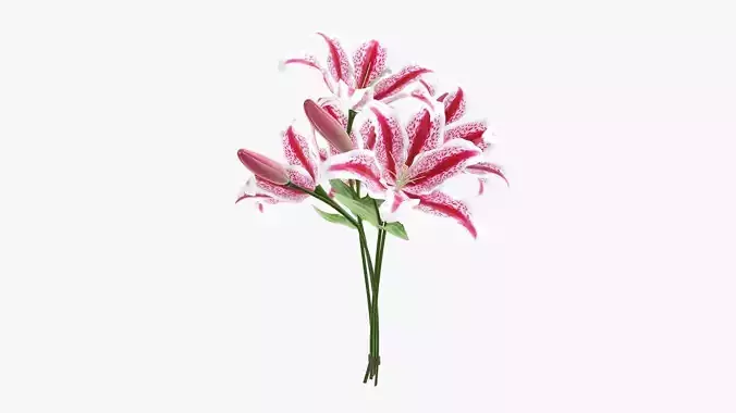 Lily flowers bouquet