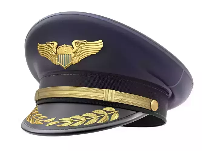 Pilot Hat 3D model
