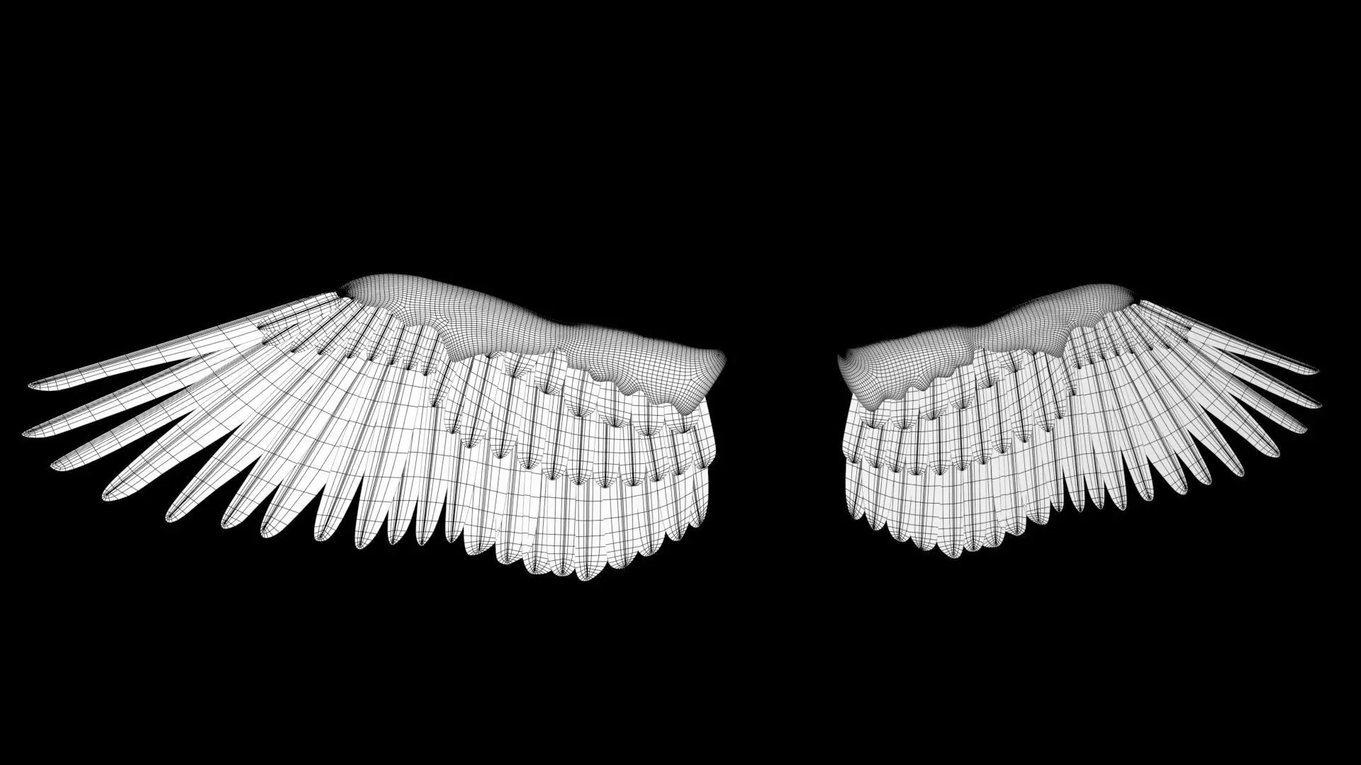 feathered wings Low-poly 3D model_0