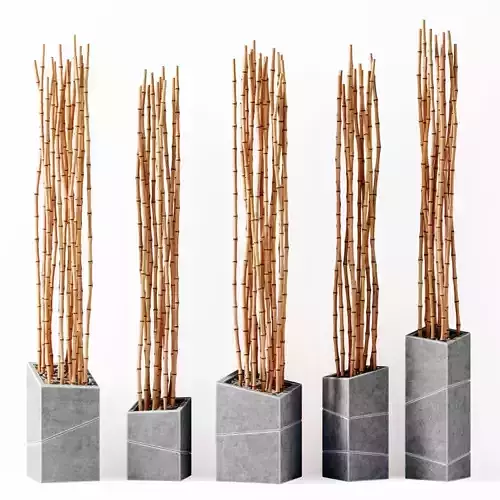 Bamboo vase slice thin branch decor n3