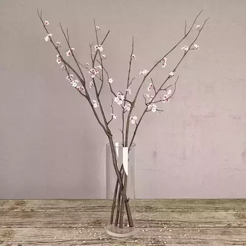 Cherry branches