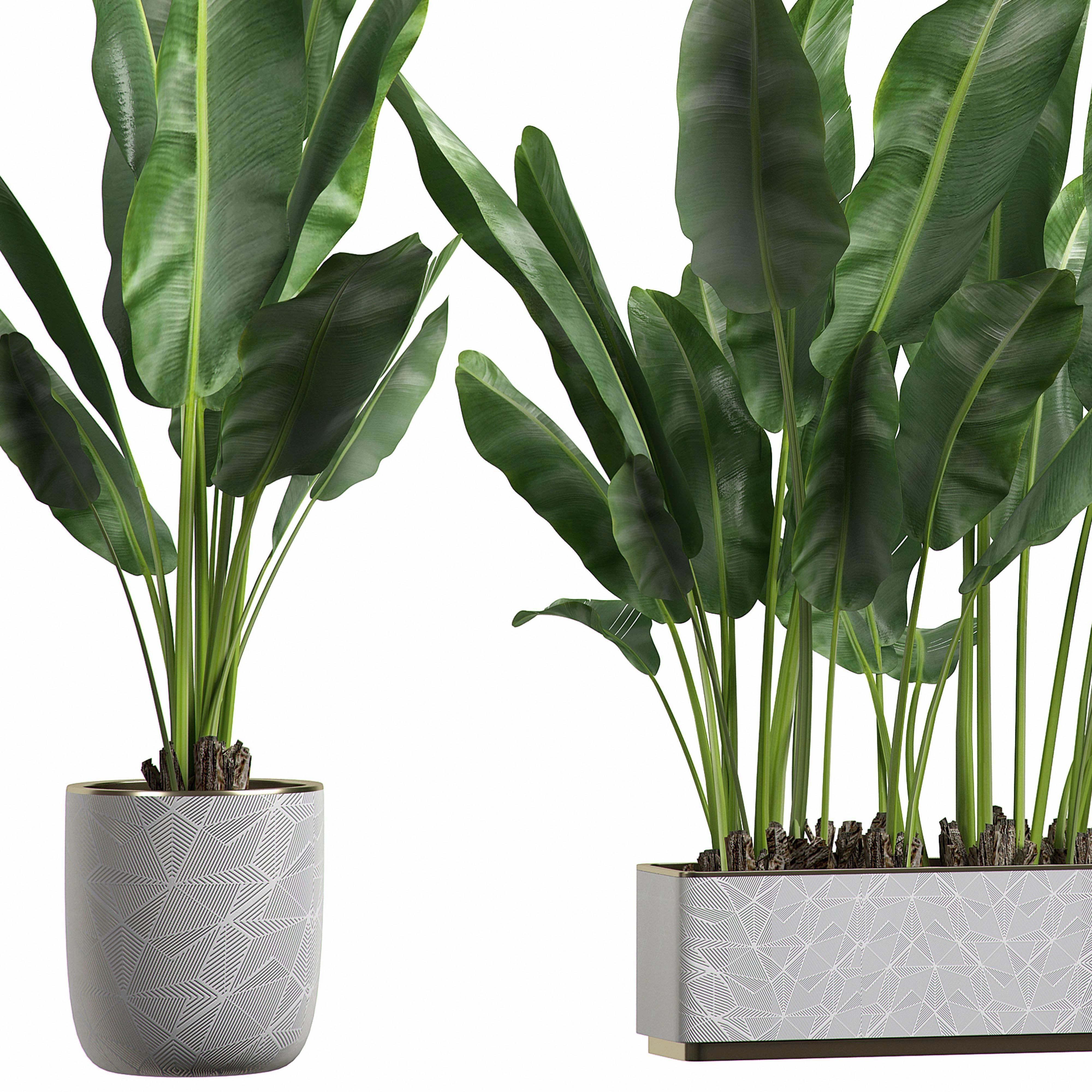 Flower Pack 1 3D model_1