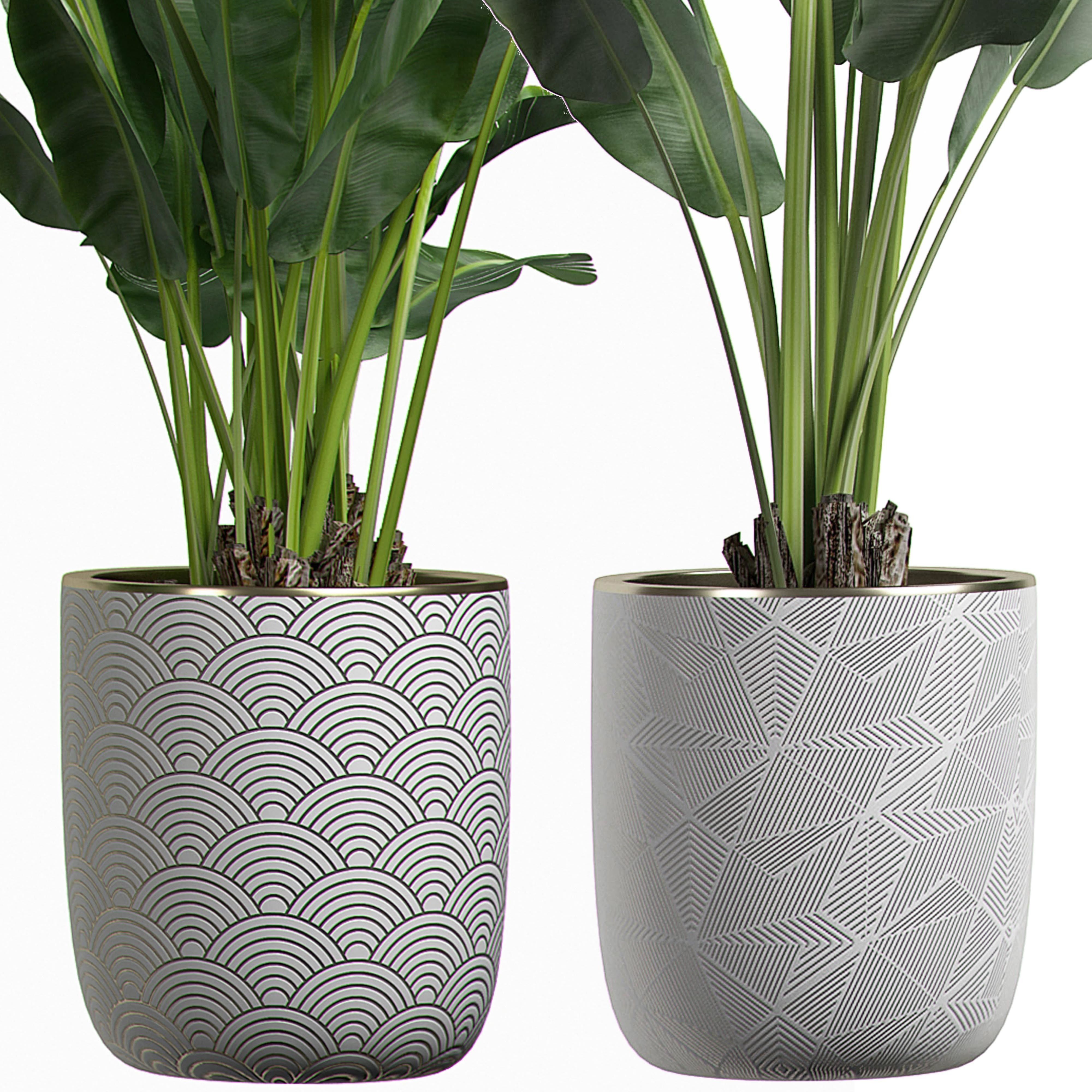 Flower Pack 1 3D model_2