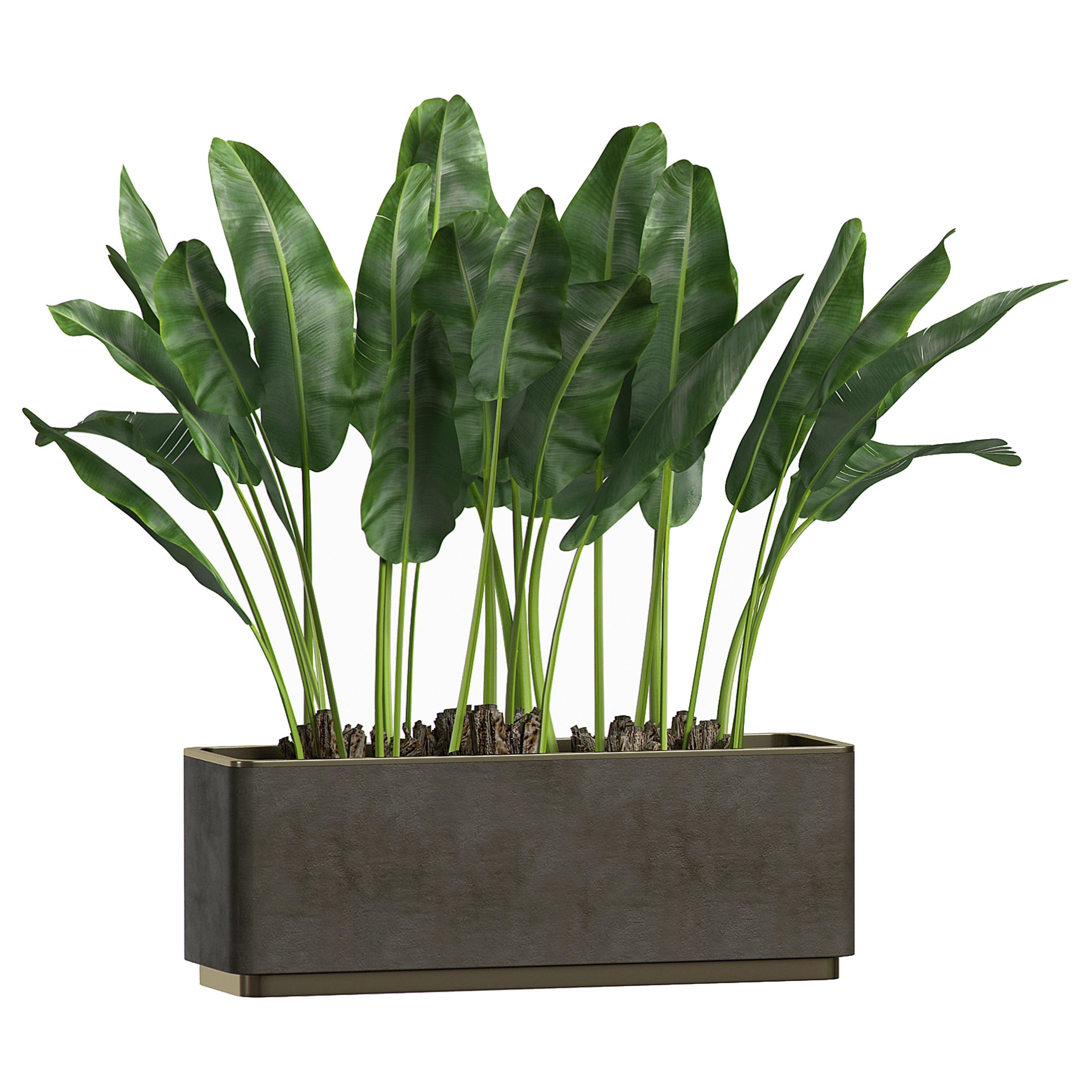 Flower Pack 1 3D model_3