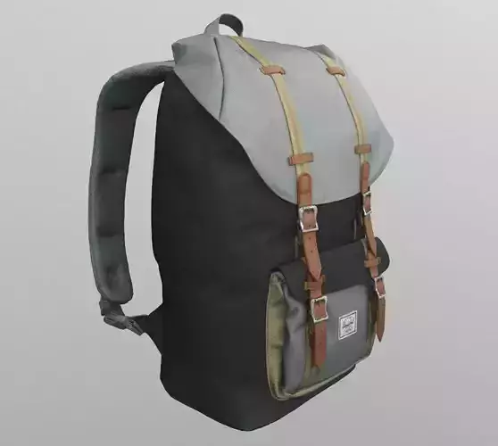 Hershel Little America backpack