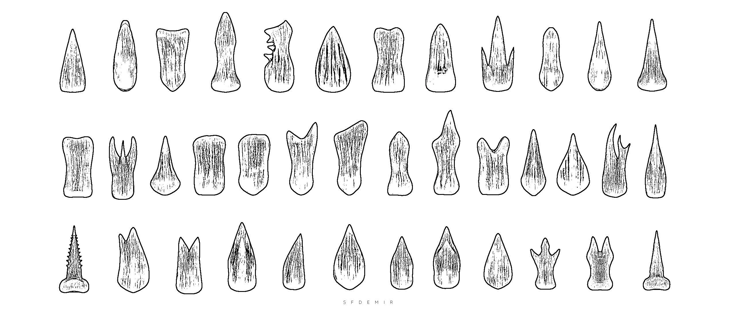 SFDEMIR Teeth IMM Brushes  Low-poly 3D model_5