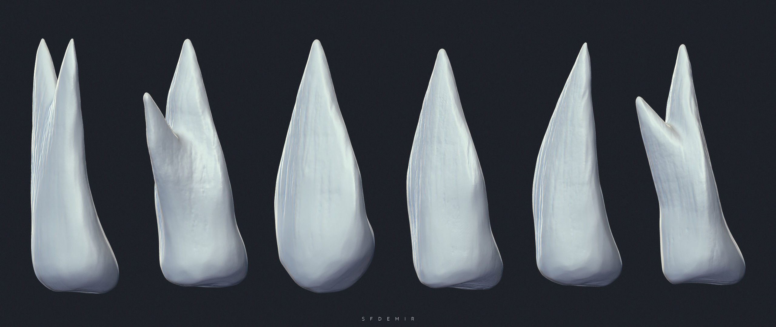 SFDEMIR Teeth IMM Brushes  Low-poly 3D model_14