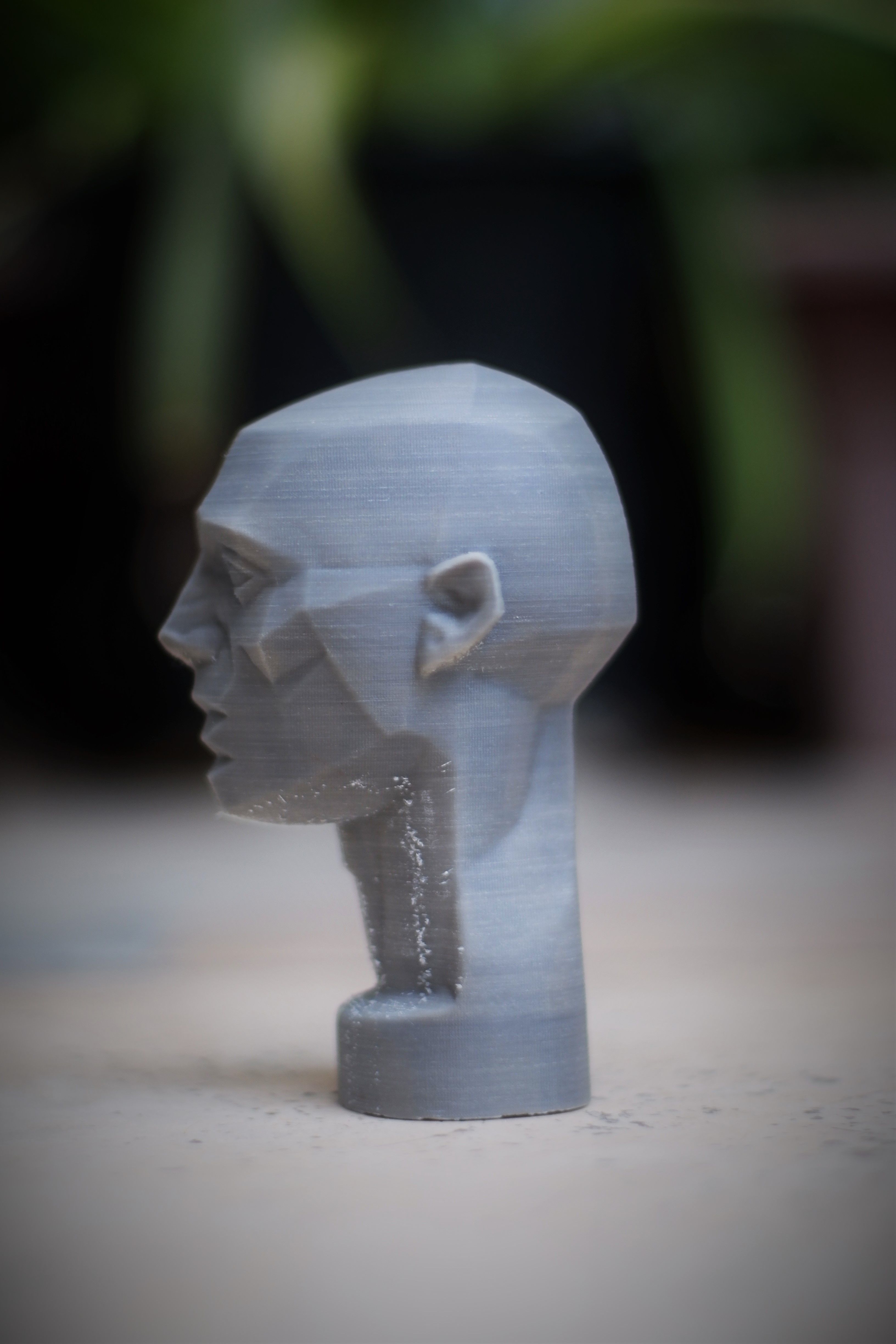 Planes of the Head - John Asaro 3D model_10