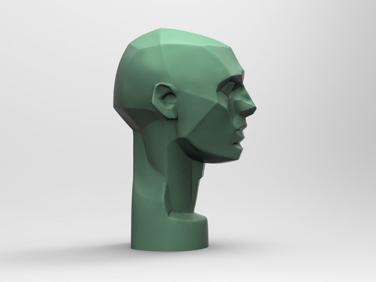 Planes of the Head - John Asaro 3D model_6